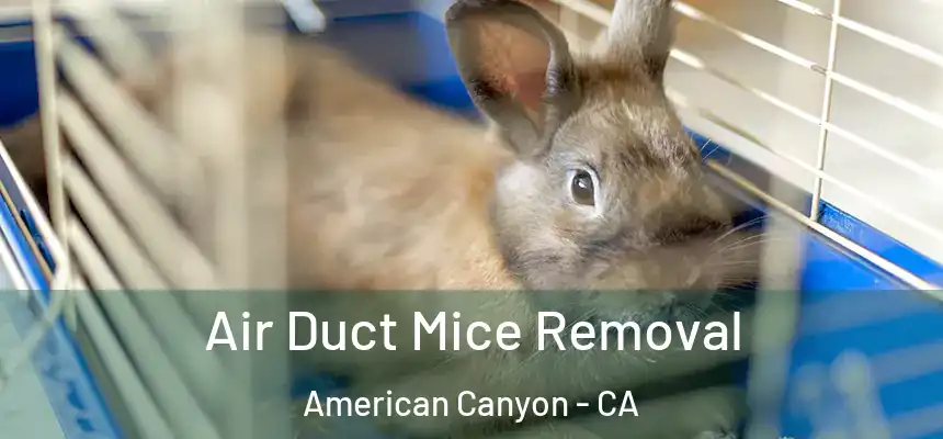 Air Duct Mice Removal American Canyon - CA