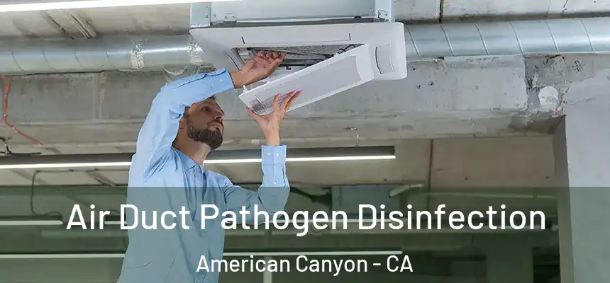  Air Duct Pathogen Disinfection American Canyon - CA