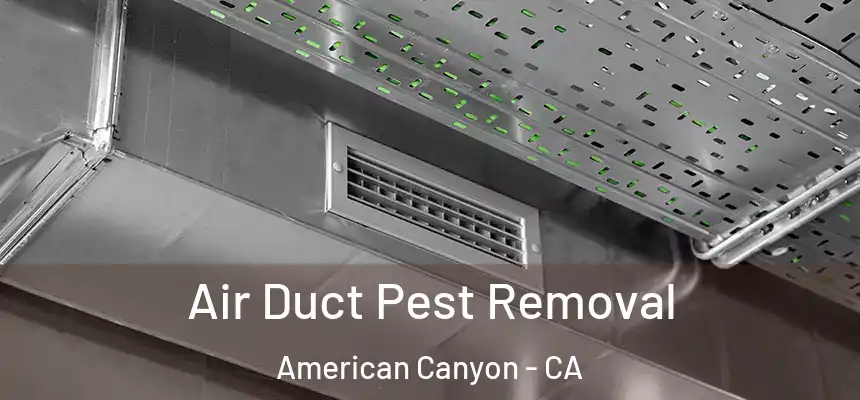  Air Duct Pest Removal American Canyon - CA