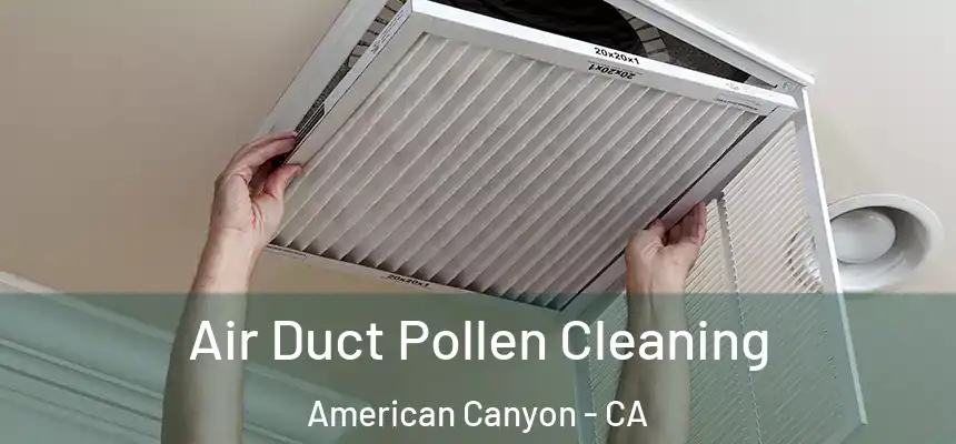  Air Duct Pollen Cleaning American Canyon - CA