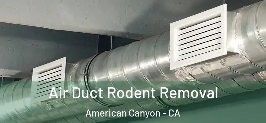 Air Duct Rodent Removal American Canyon - CA