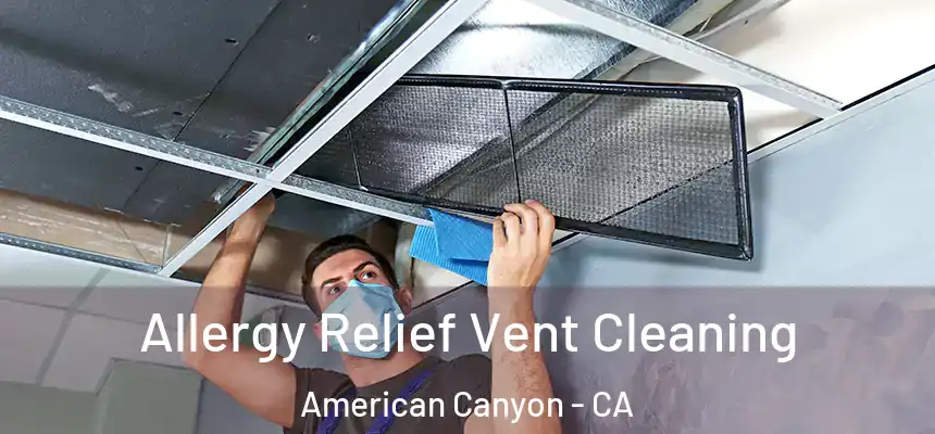 Allergy Relief Vent Cleaning American Canyon - CA