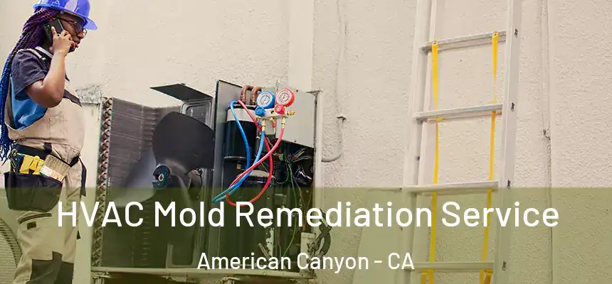  HVAC Mold Remediation Service American Canyon - CA