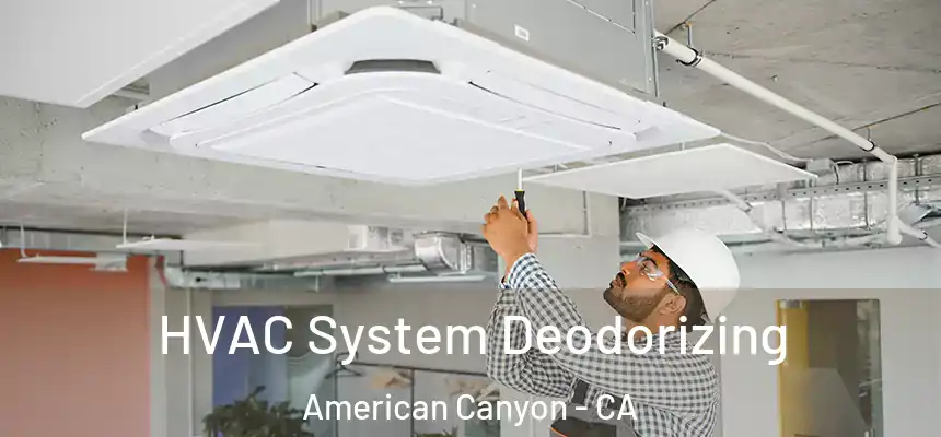 HVAC System Deodorizing American Canyon - CA
