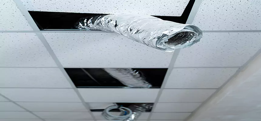 Affordable HVAC Sanitizing After Pest Removal in American Canyon