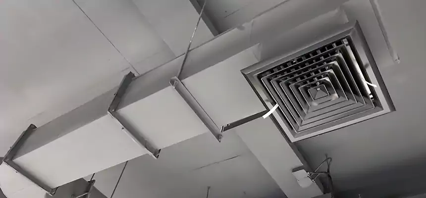 Our Pest Removal From Ducts Services in American Canyon, CA