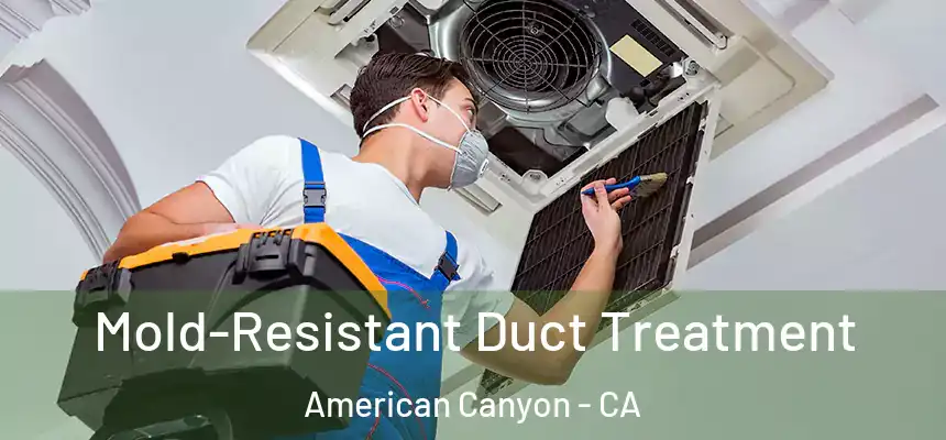 Mold-Resistant Duct Treatment American Canyon - CA