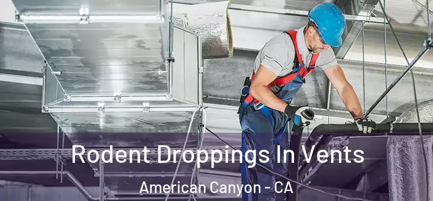 Rodent Droppings In Vents American Canyon - CA