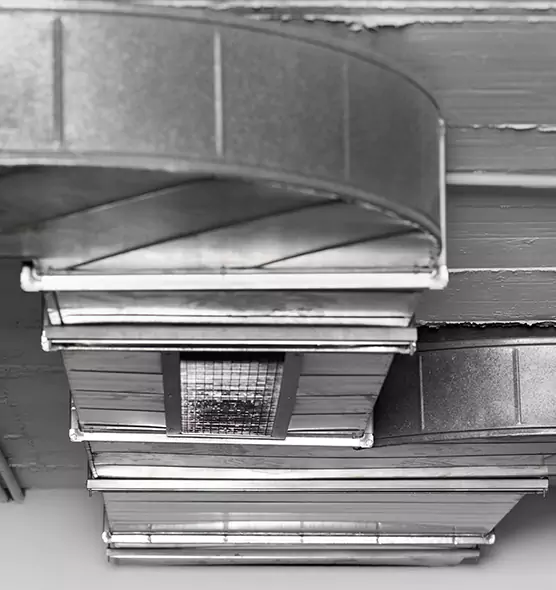 Professional Air Duct Pest Removal in American Canyon, CA