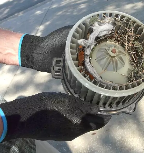 About Air Duct Rat Removal in American Canyon, CA