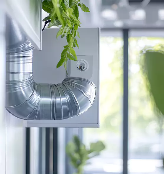 Professional Eco-Friendly Duct Cleaning Services in American Canyon, CA