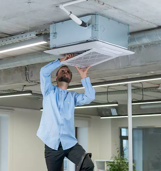 Advanced Rodent Droppings In Vents in American Canyon, CA