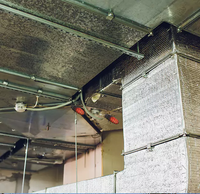 Why Homeowners & Businesses Trust Us in American Canyon, CA?