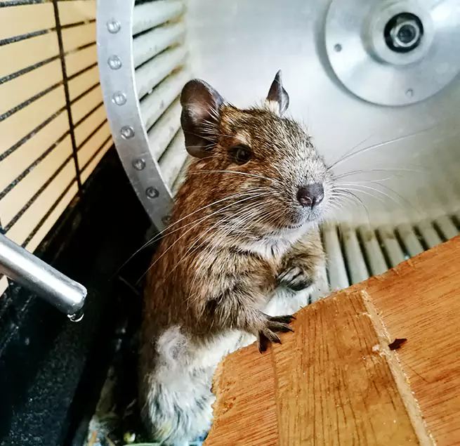 Why Homeowners & Businesses Trust Us American Canyon, CA